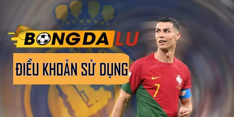 Điều khoản sử dụng Bongdalu rõ ràng và minh bạch