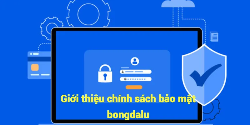 Giới thiệu chính sách bảo mật bongdalu