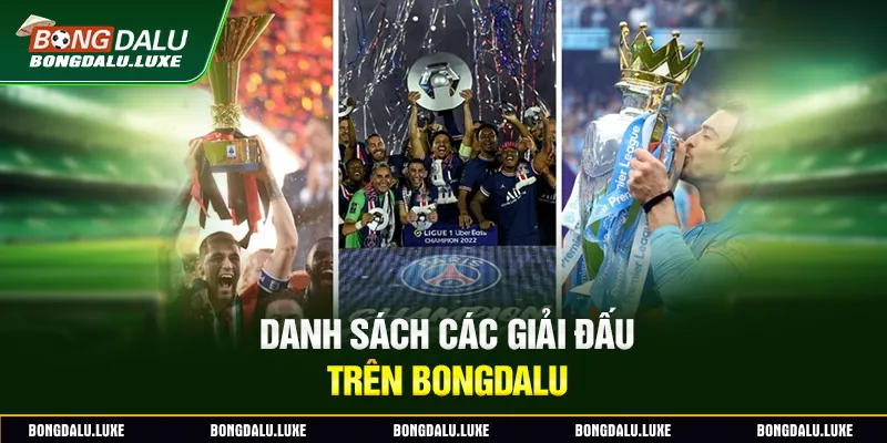 Danh sách các giải đấu trên Bongdalu