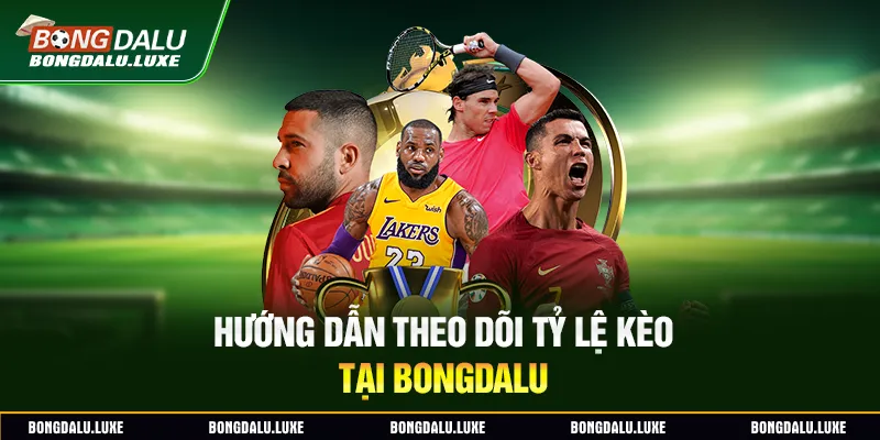 Hướng dẫn theo dõi tỷ lệ kèo tại Bongdalu