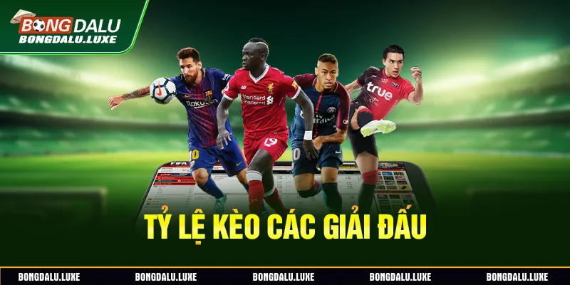 Tỷ lệ kèo các giải đấu 
